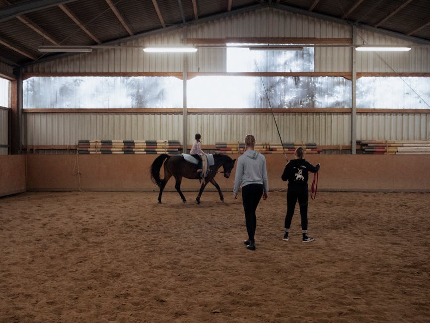 Gamaschen für Pferde